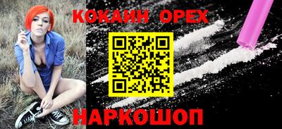 гашик Дубна
