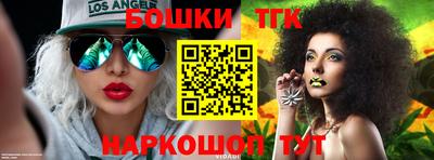 гашик Дубна