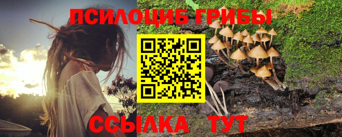 Каменск-Уральский  Псилоцибиновые грибы Cubensis  Вход с VPN 